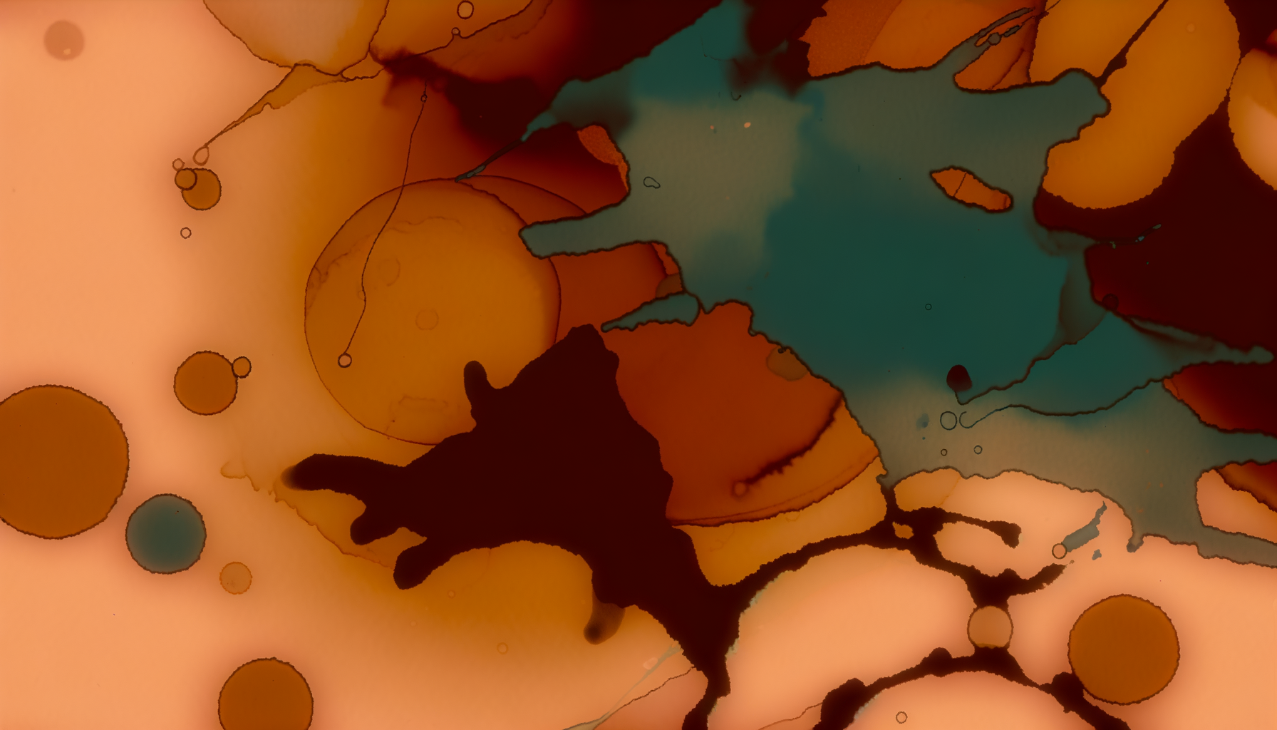 脳着想型AIアーキテクチャ研究考察｜訓練データなしで脳活動を再現