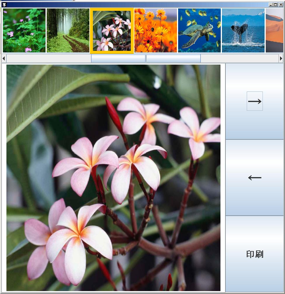 画像観賞ソフト実行例